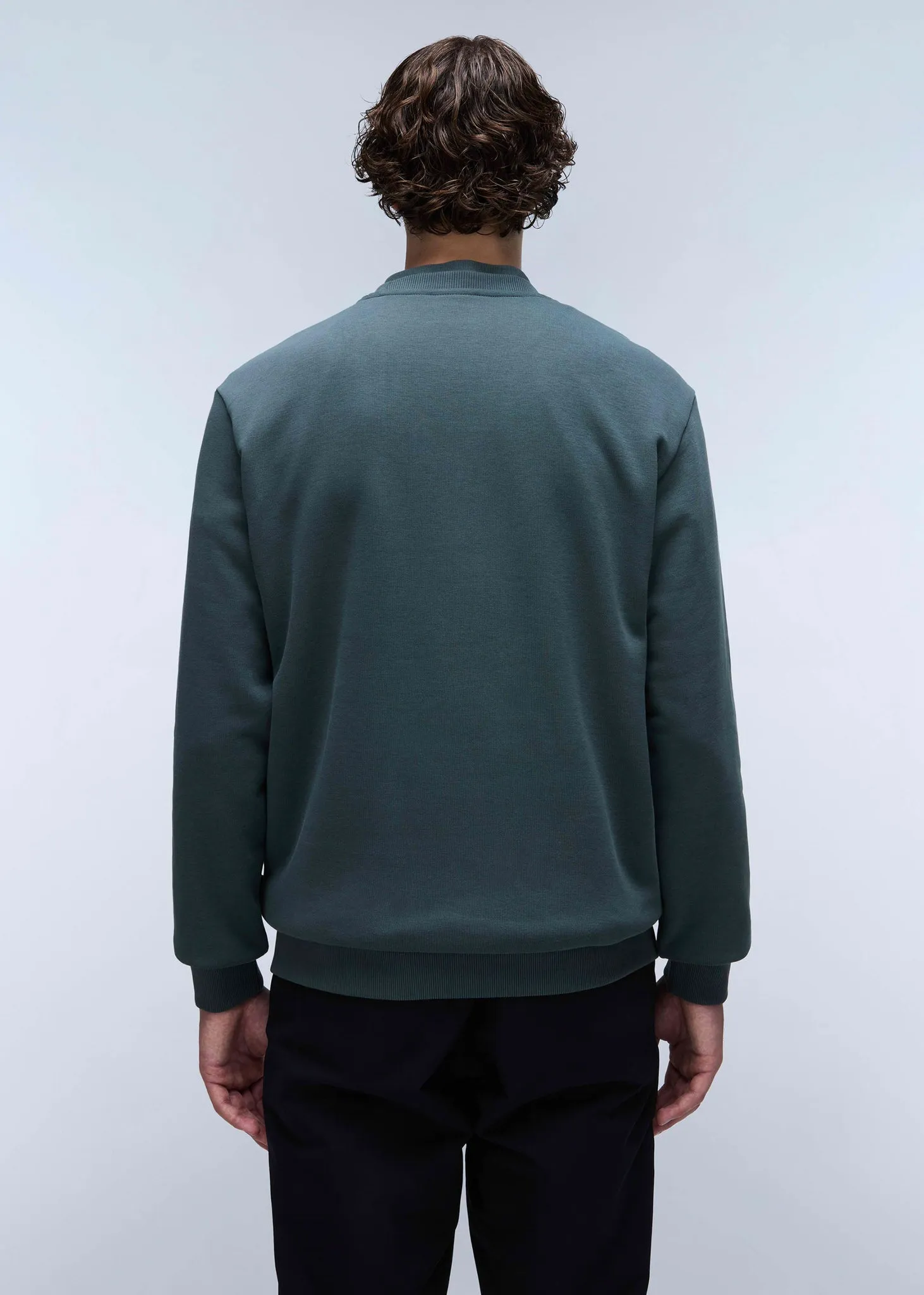 Albula crewneck sweater  - green urban