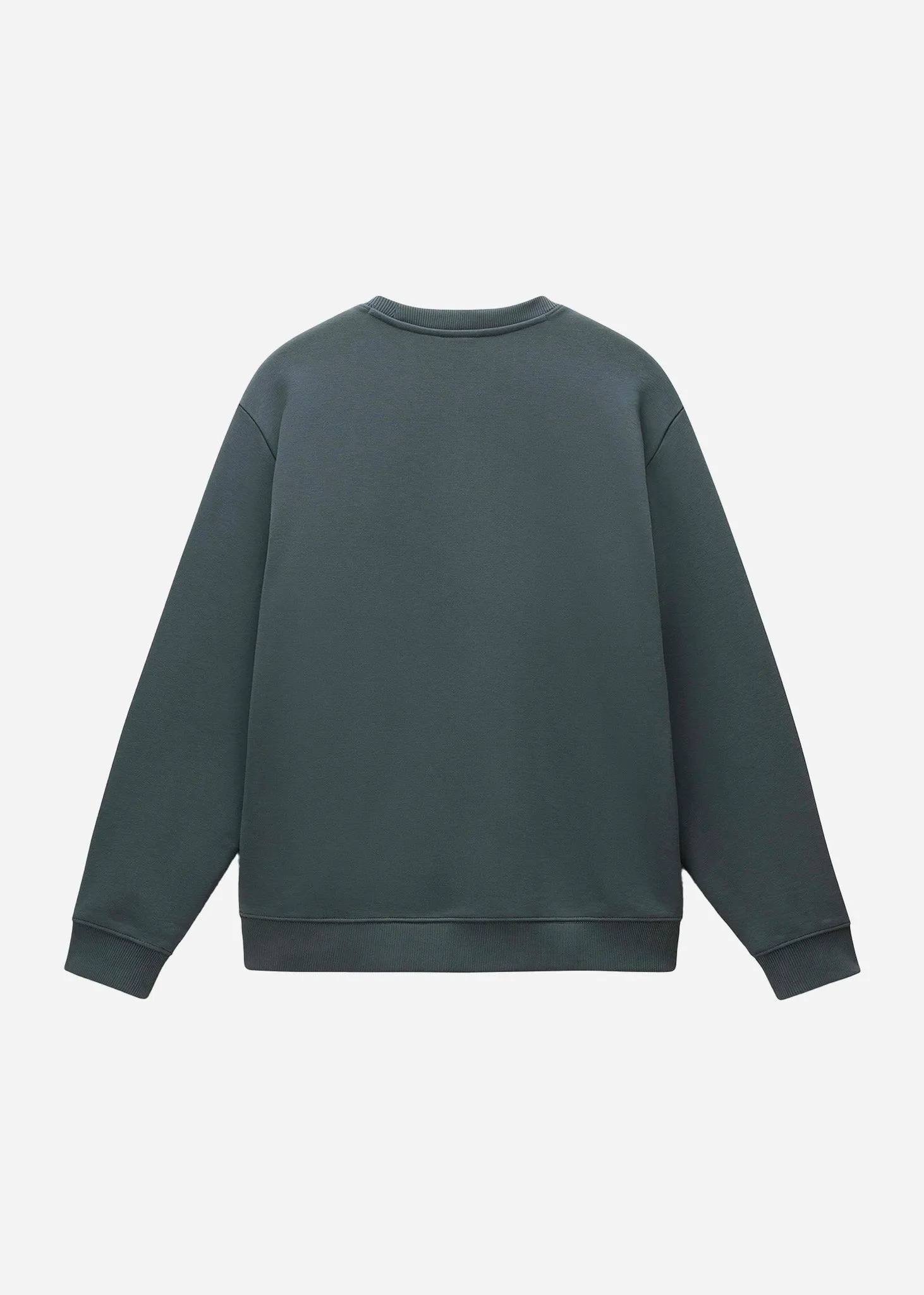 Albula crewneck sweater  - green urban