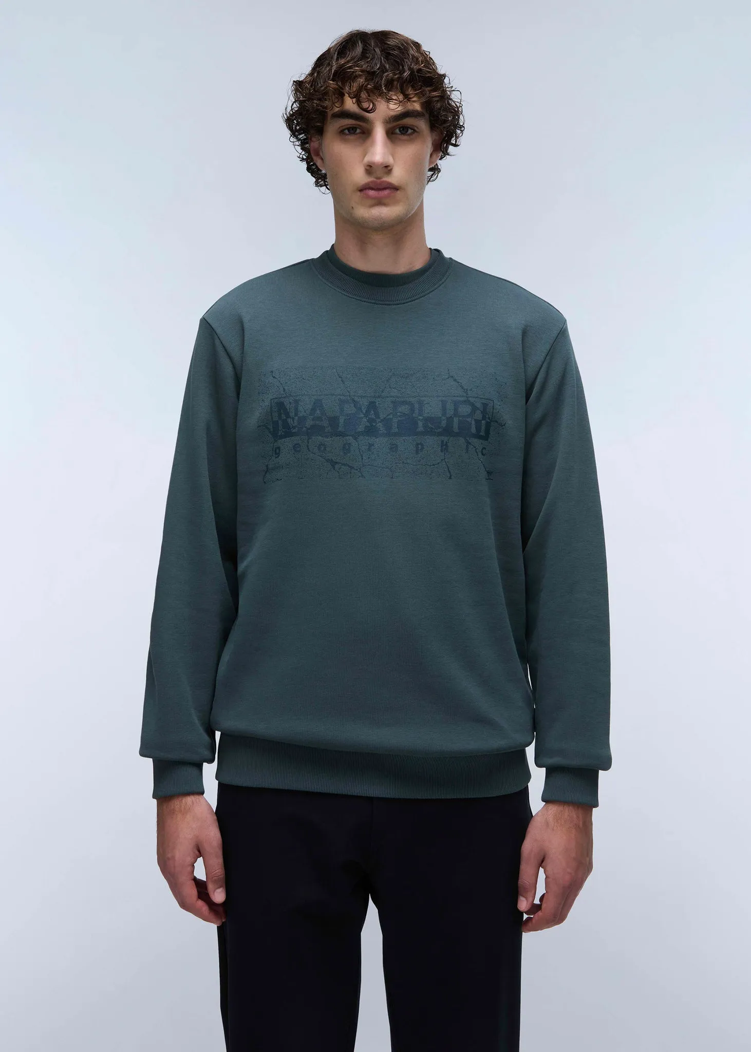 Albula crewneck sweater  - green urban