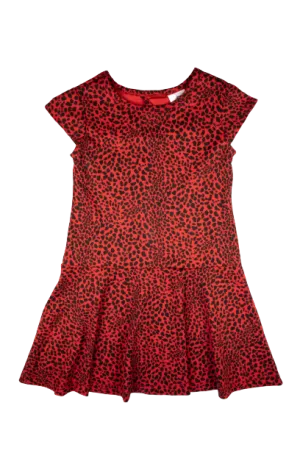 Animal Print Knit Dress