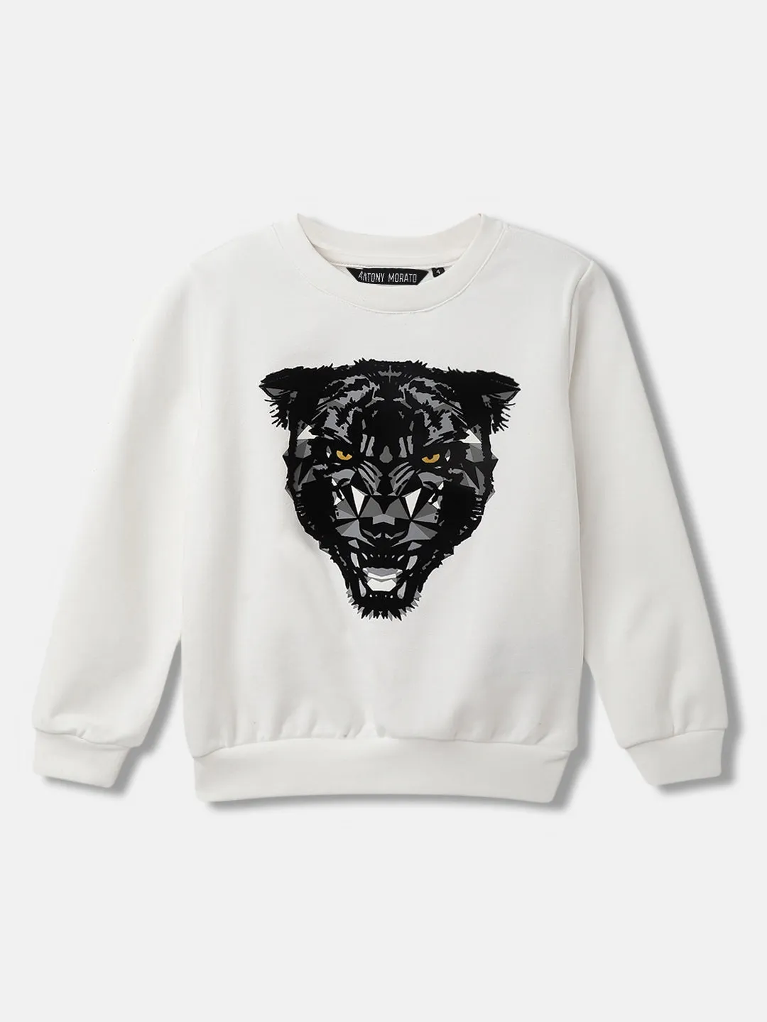 Antony Morato Boys Solid Full Sleeves Round Neck Sweatshirt