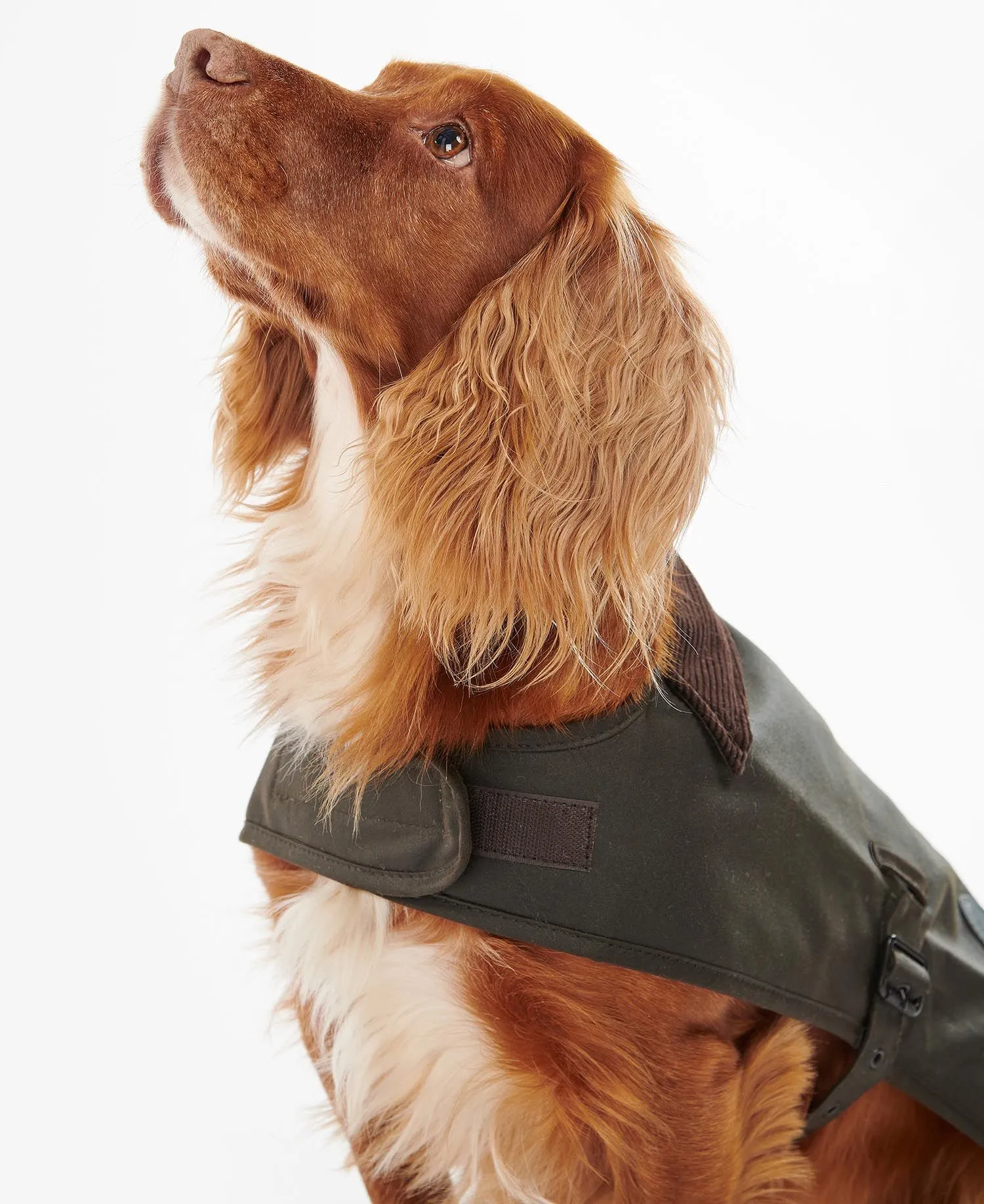 BARBOUR WAX DOG COAT DCO0003