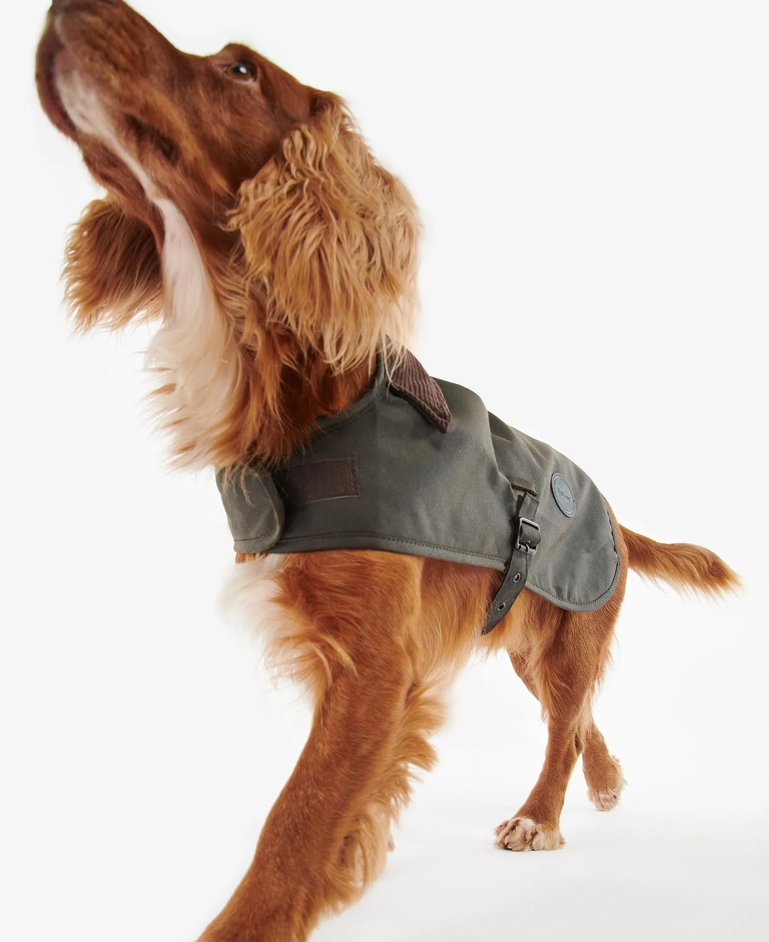 BARBOUR WAX DOG COAT DCO0003