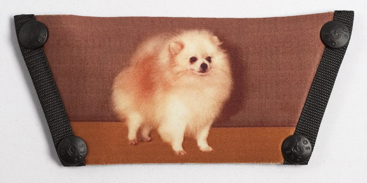 Pomeranian SS294