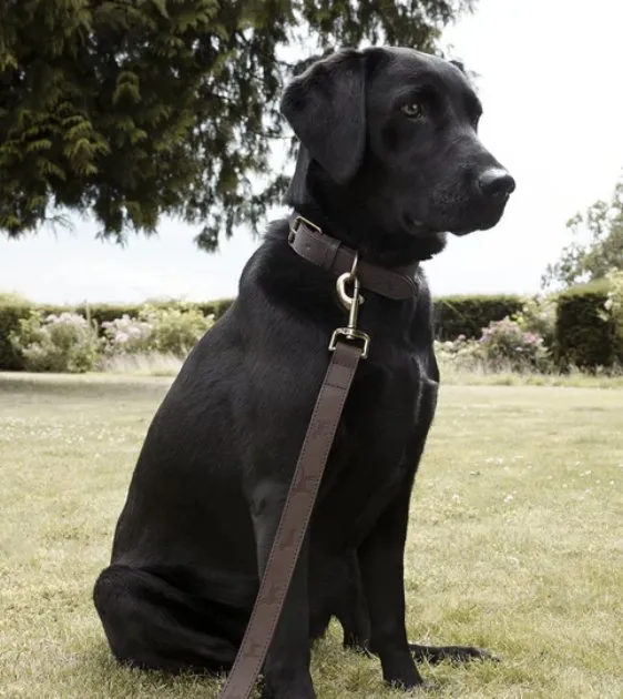 Sophie Allport Woof Leather Dog Lead