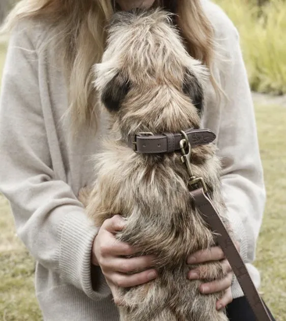 Sophie Allport Woof Leather Dog Lead