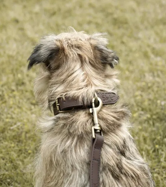 Sophie Allport Woof Leather Dog Lead