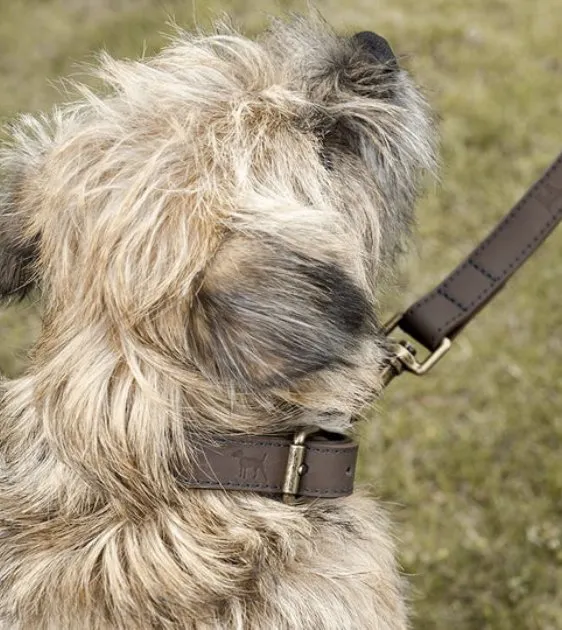 Sophie Allport Woof Leather Dog Lead